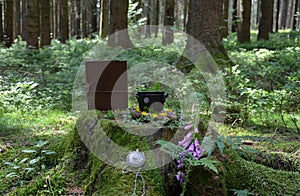witch altar offering in a forest on a mossy root in summer