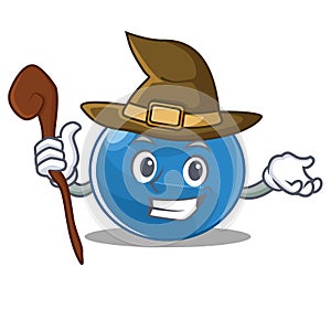 Witch blueberry character cartoon style