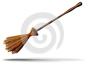 Witch Broom Object