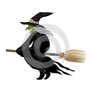 Witch halloween