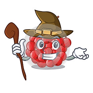 Witch rowan slices fruit cartoon berries shape photo