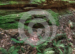 Witches Gulch is a hidden Attraction in Wisconsin Dells and can