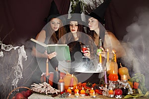 Witches look into the book