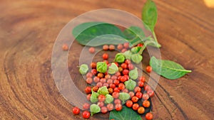 Withania somnifera or ashwagandha leaves and red fruit berries on wooden background. winter cherry. healthcare