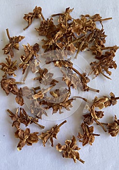 Withered dried flowers scattered around