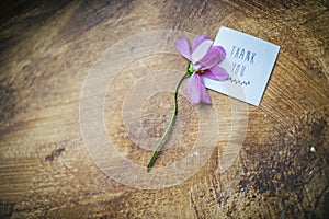 Withered flower and card with an inscription Thank you on it. disappointment and sad ironic message. Wooden background