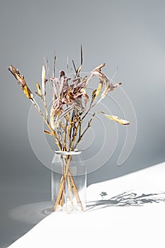 Withered flowers bouquet in plastic bottle to reduce waste. Beautiful dried flowers aesthetic and eco friendly home decor