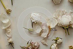 Withered flowers photo mockup