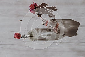 Withered flowers in transparent vases on a white wooden table