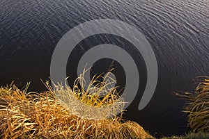 Hummock on the shore against the background of water