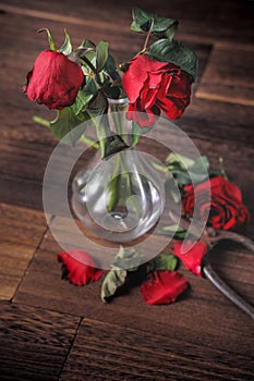 Withered rose on dark gray background and wooden table with fall petals and leaves, design concept of sad Valentine`s day romance