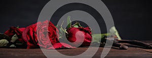 Withered rose on dark gray background and wooden table with fall petals and leaves, design concept of sad Valentine`s day romance