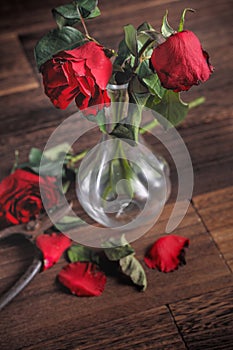 Withered rose on dark gray background and wooden table with fall petals and leaves, design concept of sad Valentine`s day romance