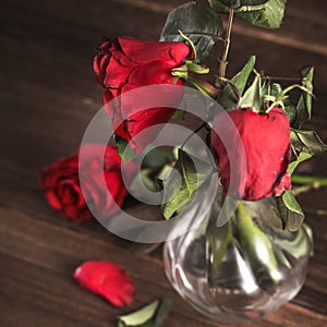 Withered rose on dark gray background and wooden table with fall petals and leaves, design concept of sad Valentine`s day romance