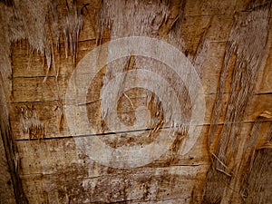 Withered wood with cracks background texture