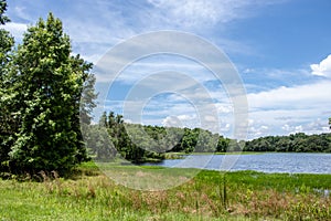 Withlacoochee State Forest