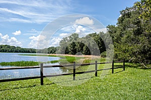 Withlacoochee State Forest