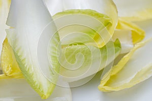 Witloof Belgian endive/ chicory fresh leaves