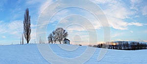 Witner meadow panorama with tree