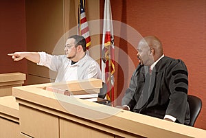 Witness at trial photo