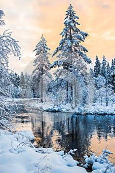 Witnter near the river in Nordmark/Sweden on a beautiful morning with magical lights