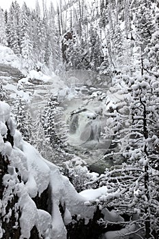 Witnter waterfalls in Yellowstone NP