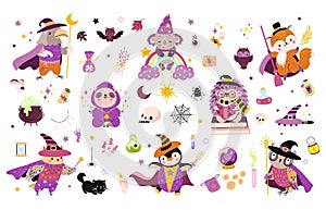 Wizard animals and magic elements. Isolated fantasy witch, wizards in mantle and hats. Poison bottles, magical game
