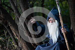 A wizard with a long gray beard and a cloak in a deep forest. An elderly man in a witcher costume