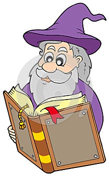 Wizard reading magic book