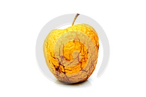 Wizened wrinkled yellow apple isolated on white background