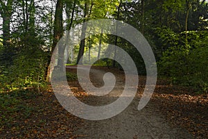 Wlking path with autumn atmosphere in the park outdooors