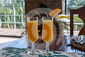 Wo orange juice glasses on a wooden table in a horizontal shot with some background nature