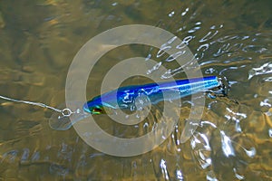 Wobbler floats on the surface of the water