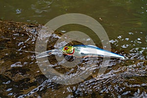 the wobbler lies on a snag shallowly in the water