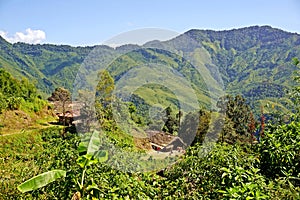 Wodden long house in Longwa tribal village, Mon, Nagaland, India, Myanmar