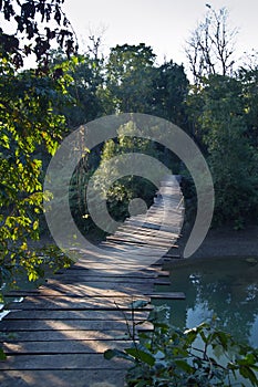 Wodeen bridge in middle of jungle in Nepal