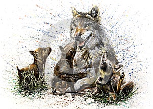 Wolf family watercolor painting drawing photo