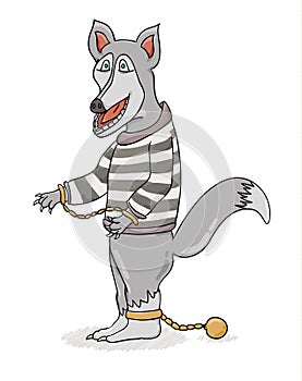 Wolf with chains in striped shirt