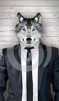 Wolf in black suit, business abstract concept