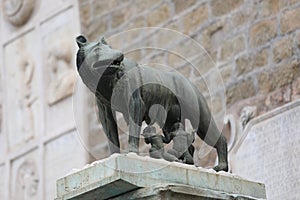 she-wolf called LUPA CAPITOLINA in Rome in Italy