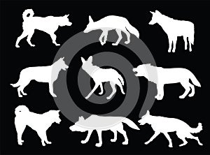 Wolf, coyote,jackal and dog collection vector silhouette illustration isolated