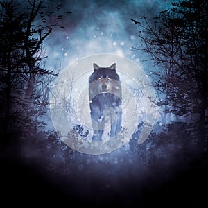 Wolf in a dark mysterious foggy forest