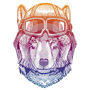 Wolf, dog. Wild animal. Vector fashion illustration for kids. Children shirt print with biker, motorcycle symbol.