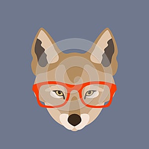 Wolf face in glasses vector illustration flat style front