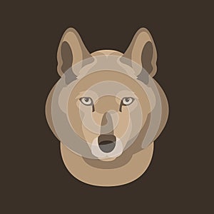wolf face head vector illustration style