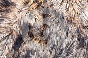 Wolf faux fur texture