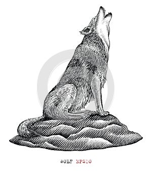 Wolf hand draw vintage engraving style black and white clip art isolated on white background