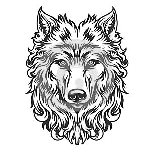 Wolf head logo design template