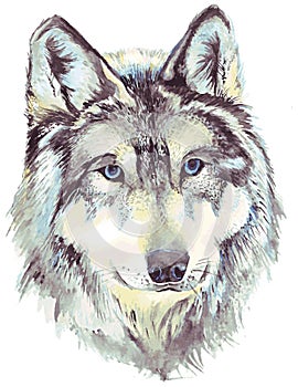 Wolf head profile