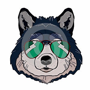 Wolf head and sunglasses